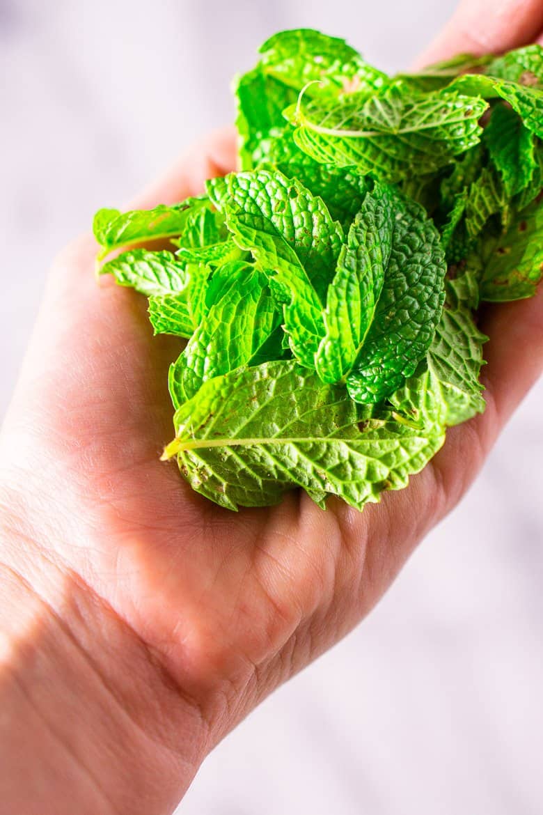 A hand holding a pile of fresh mint leaves.