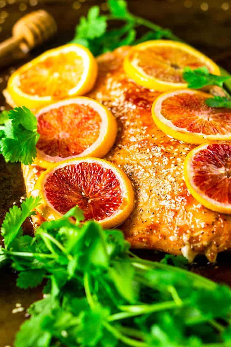 Looking at the blood orange salmon from the side with cilantro surrounding it.