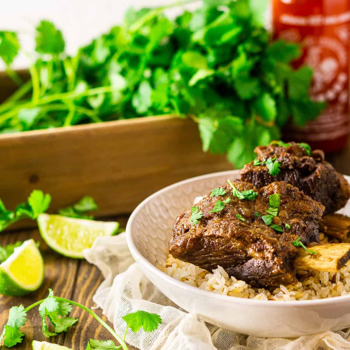 Slow Cooker Shredded Beef - Veena Azmanov