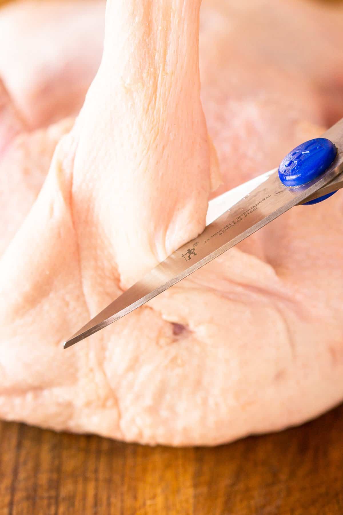 Using kitchen shears to trim the excess duck fat from the opposite end of the cavity.