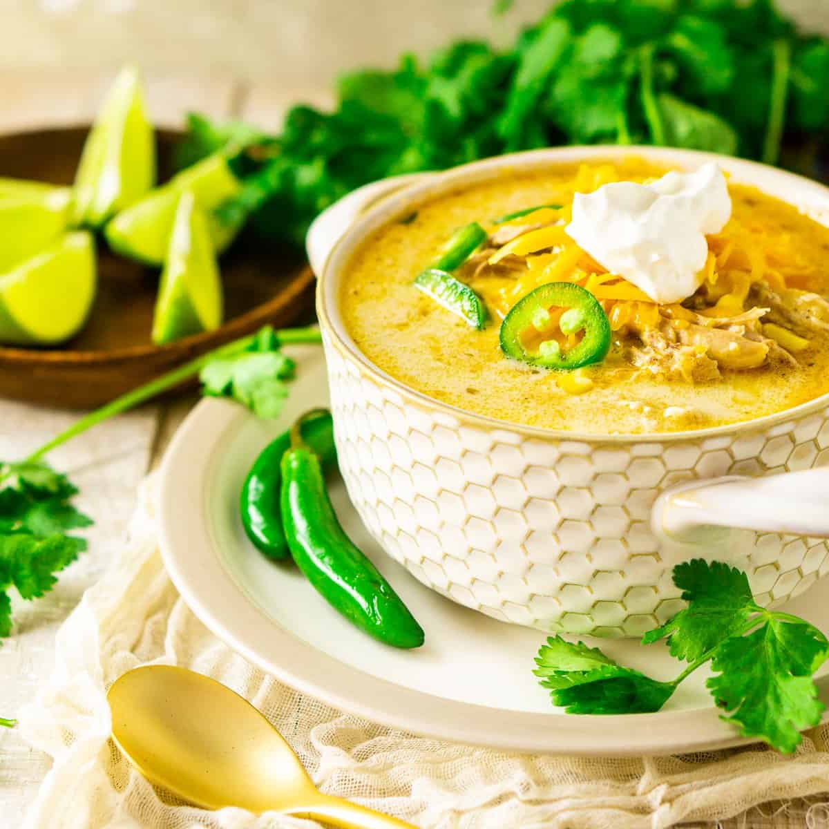 https://burrataandbubbles.com/wp-content/uploads/2021/01/creamy-white-chicken-chili-featured-image.jpg