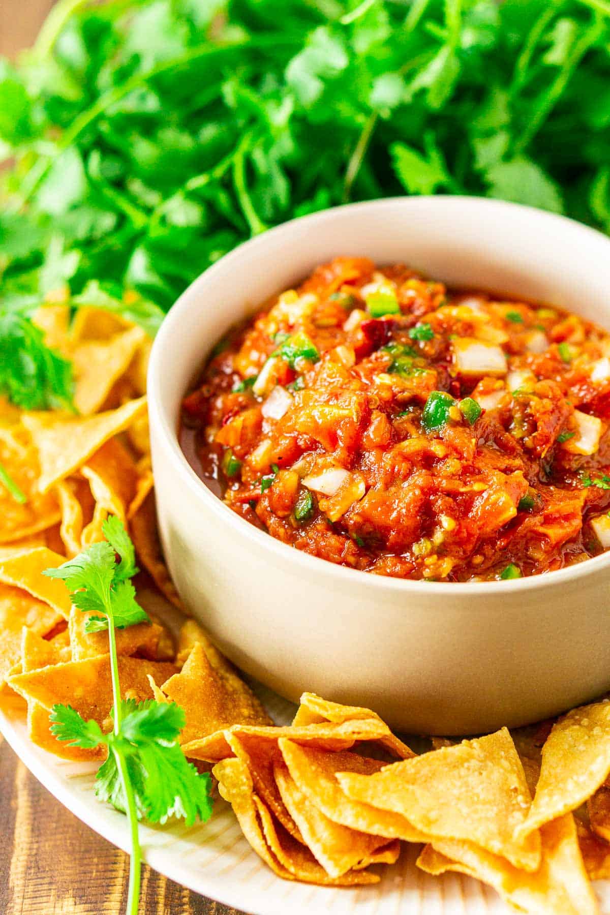 The tomato-chipotle salsa in a bowl with chips and cilantro surrounding it.