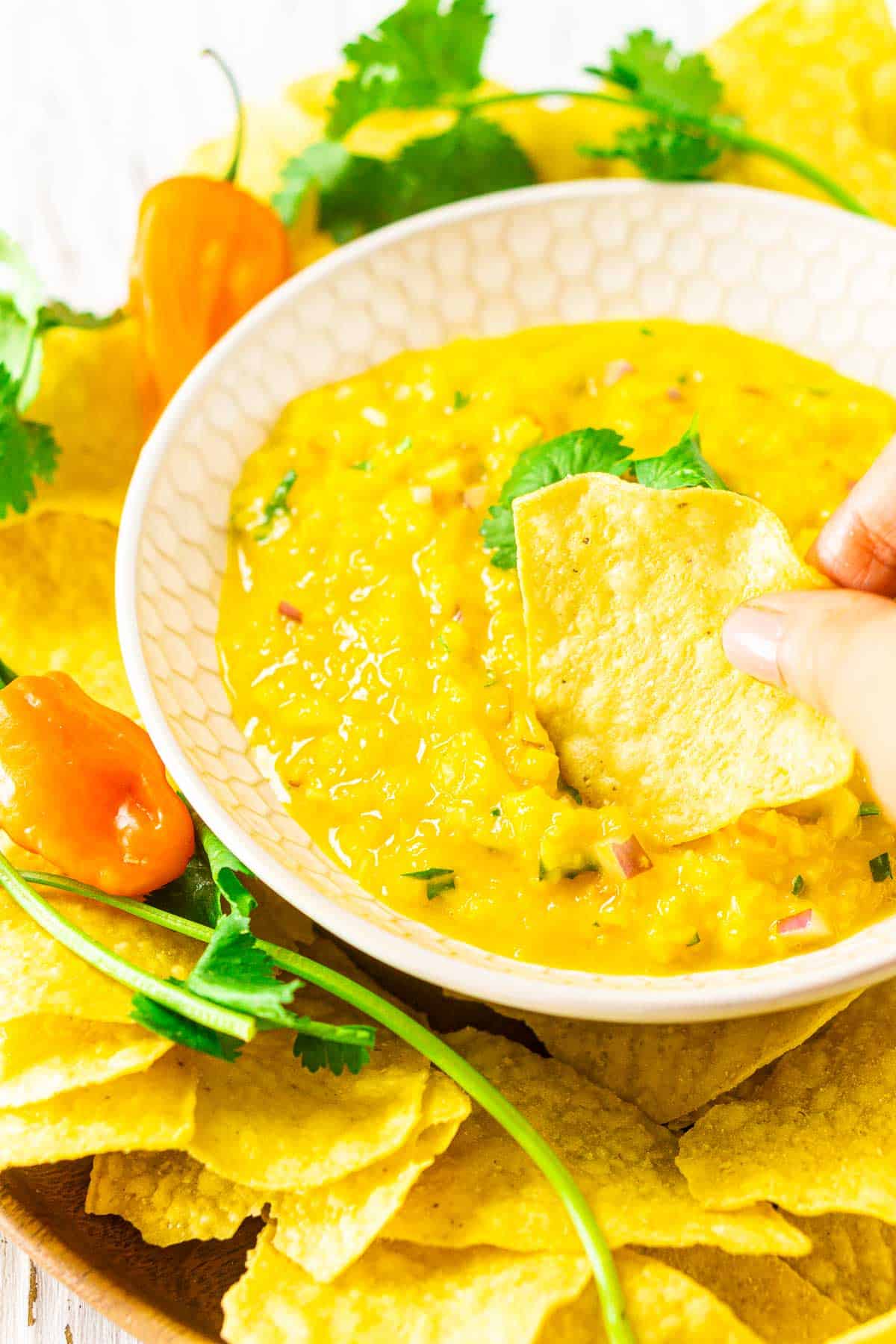 Dipping a tortilla chip into a bowl of the mango-habanero salsa.