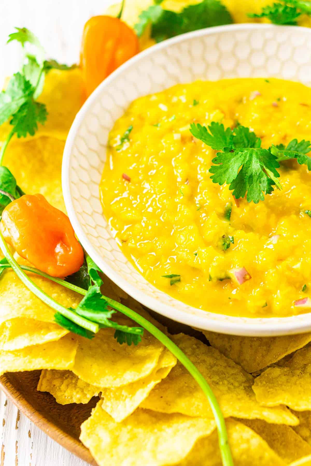 A bowl of mango-habanero salsa surrounded by chips and cilantro.