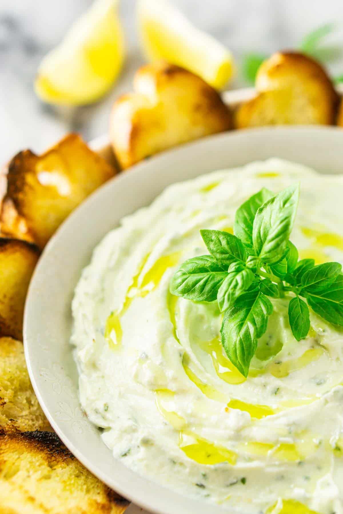 The whipped ricotta dip with toasted bread around it.