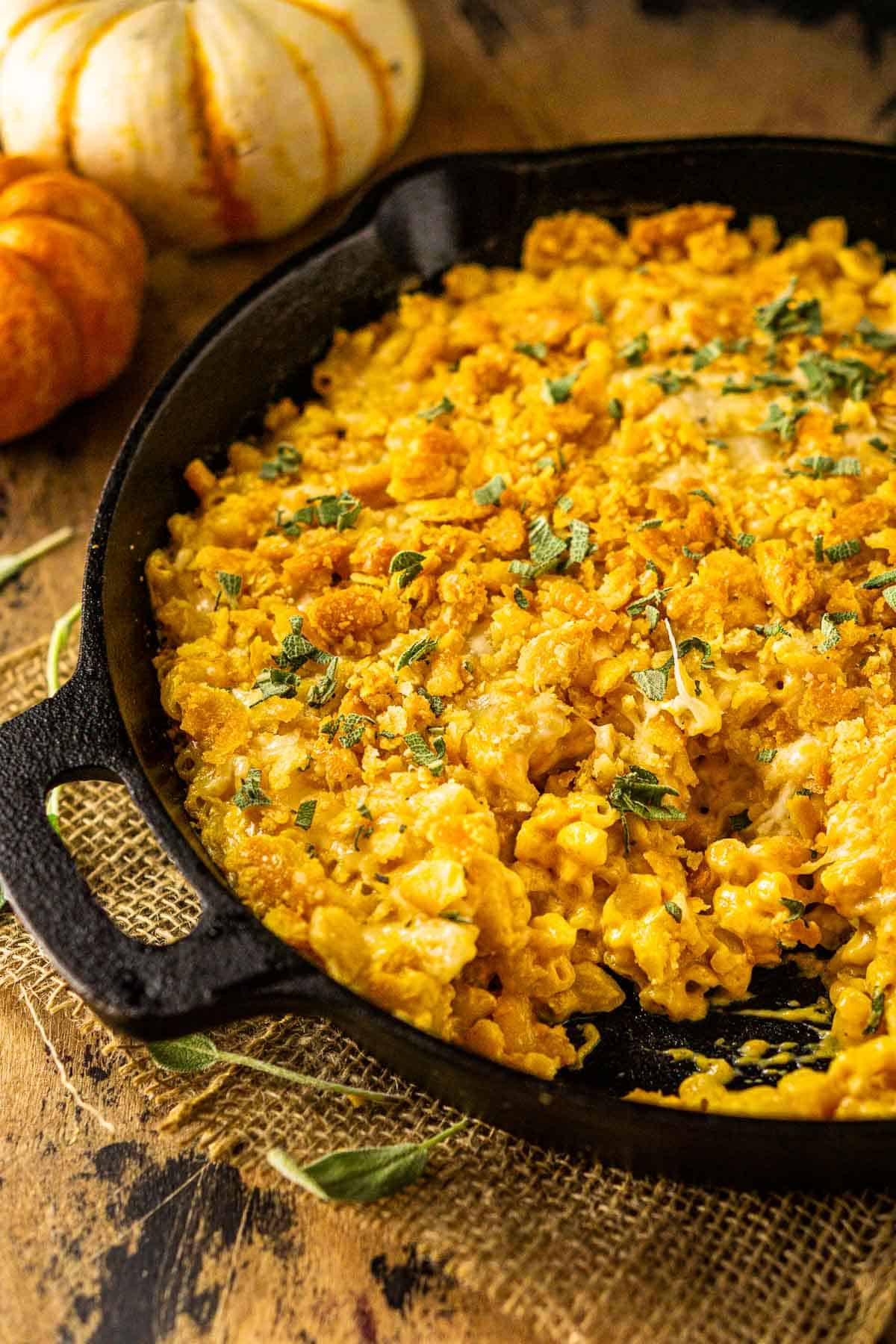 The skillet of pumpkin mac and cheese with pumpkins in the background.
