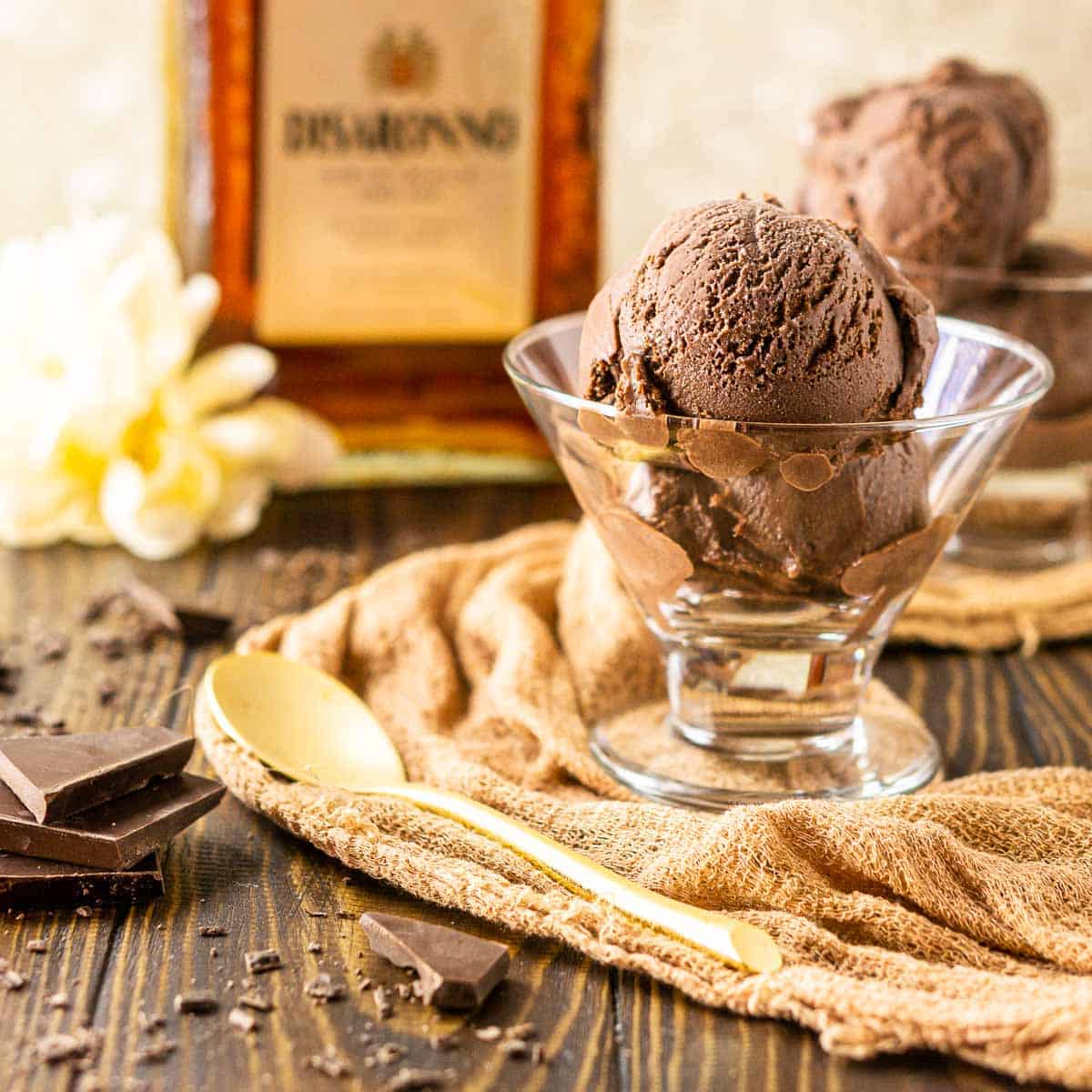 Homemade Chocolate Ice Cream (5 Mins - 5 Ingredients) - Veena Azmanov