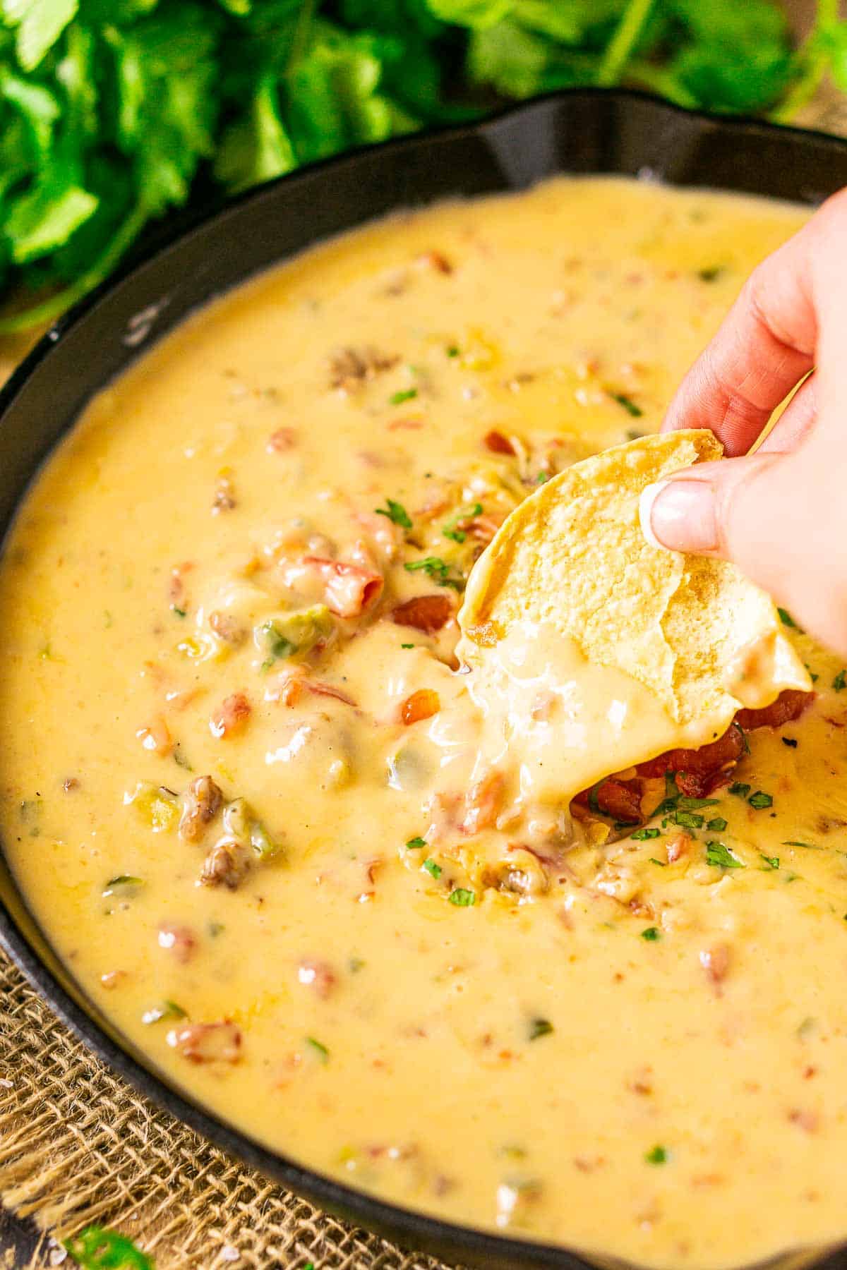 A hand holding a tortilla chip dipping into the queso with chips and cilantro to the side.