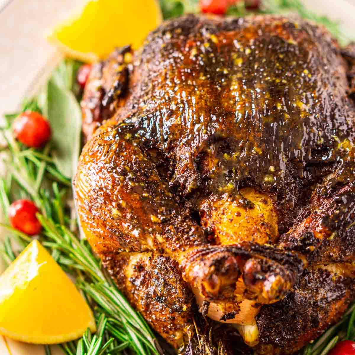 The roast Christmas chicken on a white platter with rosemary and oranges around it.