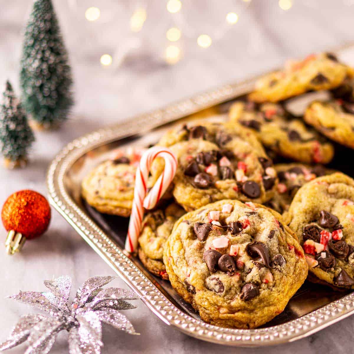 The peppermint chocolate chip cookies on a silver platter with holiday decor and lights around it.