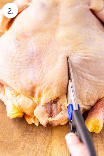 The chicken on a brown cutting board with a pair of kitchen shears making the first cut on the right side of the backbone.